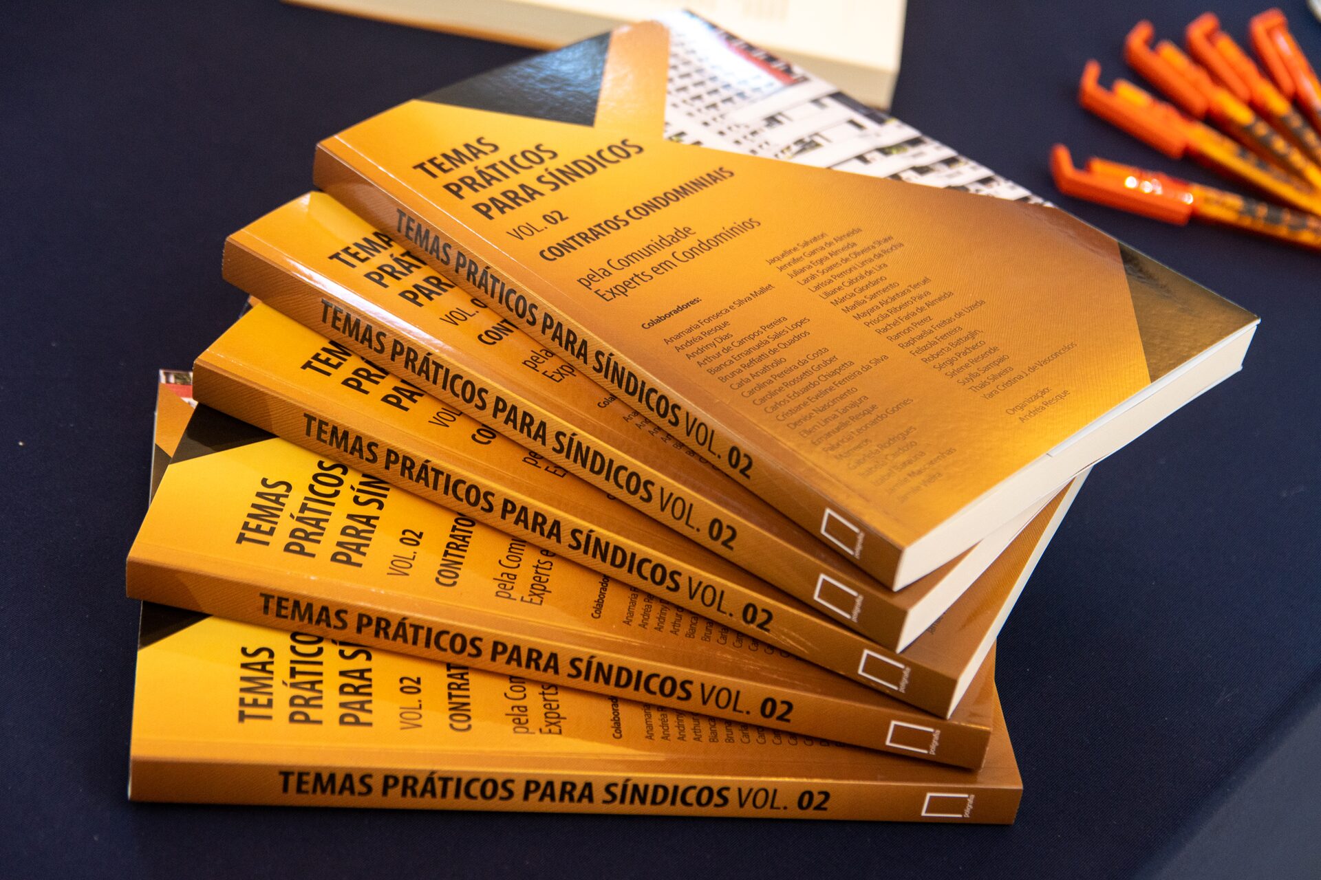 Livro Coautora - Temas Práticos Para Síndicos